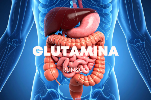 GLUTAMINA: ¿POR QUÉ ES IMPORTANTE PARA EL CORREDOR DE RESISTENCIA?